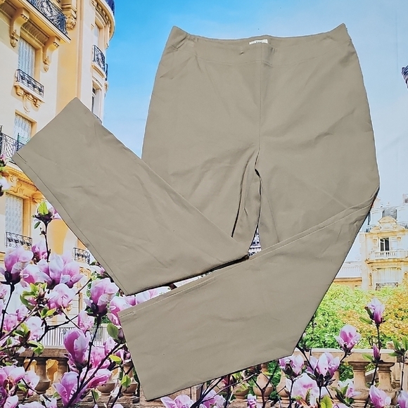 J. Jill Chino Tan Khaki Pull-on Pants Size‎ 10 - Picture 1 of 6